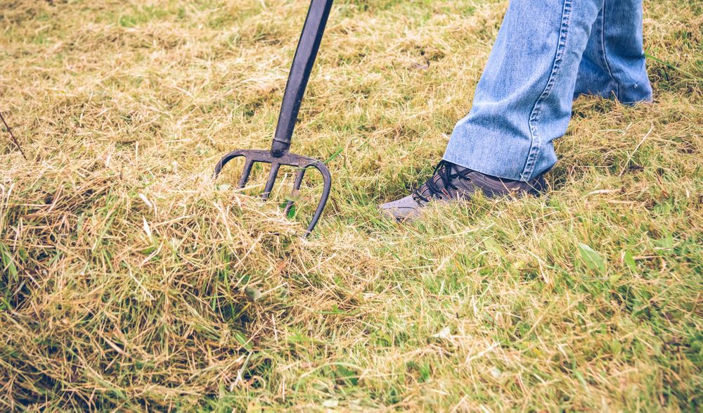 Mature man feet raking hay with pitchfork on field