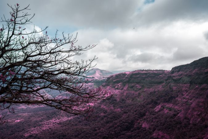 Beautiful infrared landscape of the green hills and valleys at Malshej Ghat in Maharashtra, India