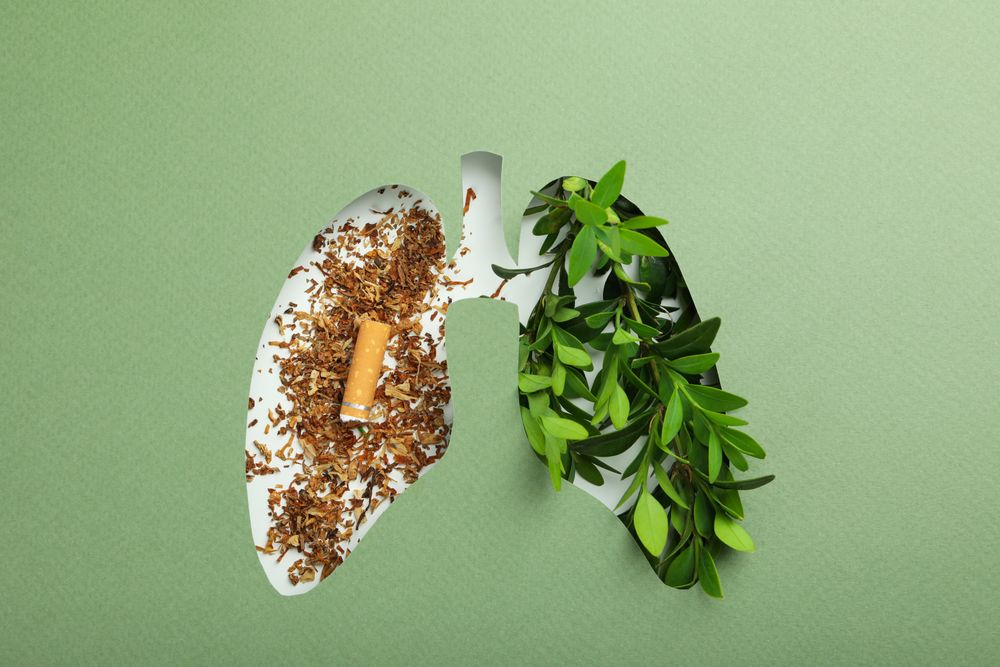 Mint green paper with lung shape cut out with half tobacco half foliage underneath