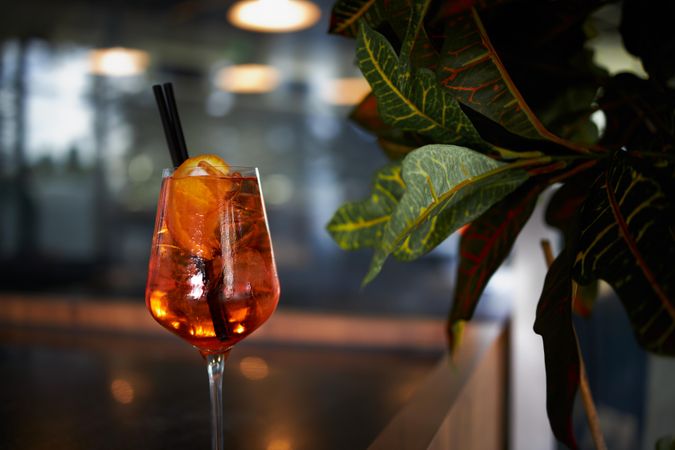 Side view of aperol spritz next to a plant