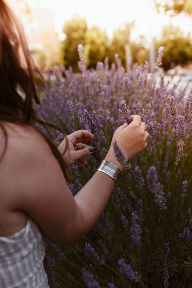 Crop woman touching lavender