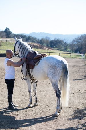 Handsome bald man leading his horse around a paddock