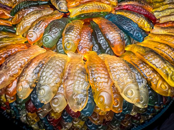 Colorful gummy herrings