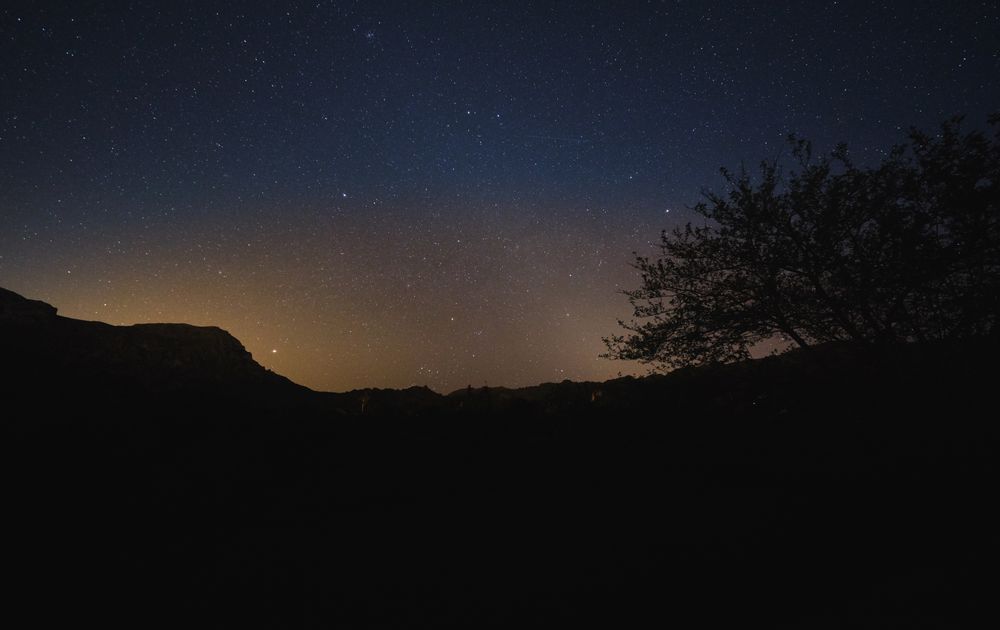 Mountain and trees during starry night