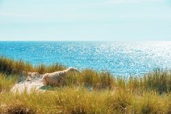 Landscape with marram grass dunes and the horizon over the sea