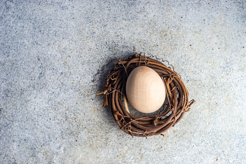 Easter spring card concept with top view of single egg in small nest