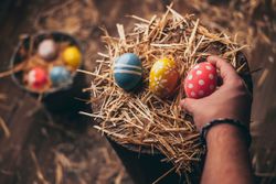 Hand placed Easter eggs on wooden stump