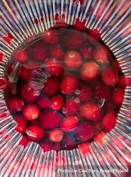 Cranberries under glass 5XdGP5