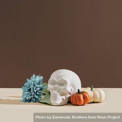 Ceramic skull with squash and blue flower bGKOxb