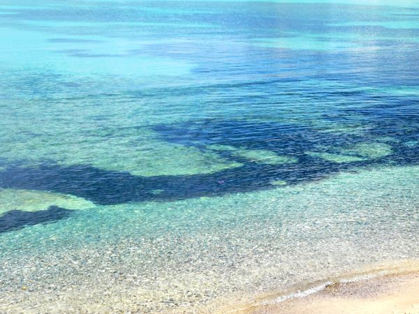 sea