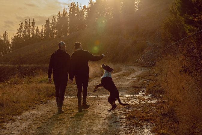 Men holding hands and walking with dog on road