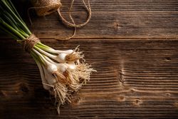 Young fresh spring onions