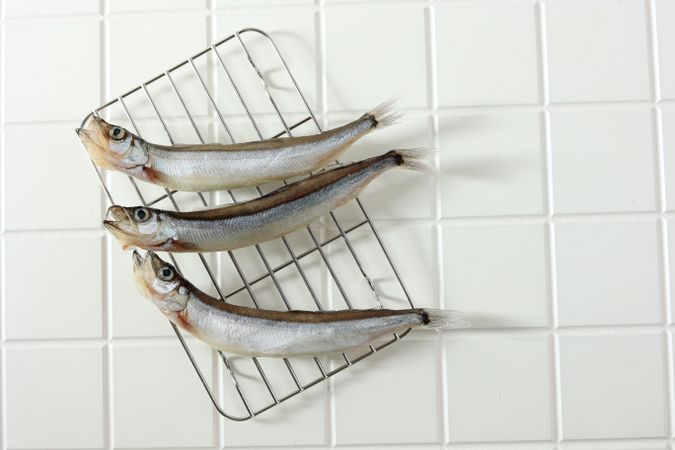 Top View Capelin Shisamo Fish