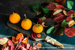 Colorful autumn leaves on dark table with board of gourds beWyG5