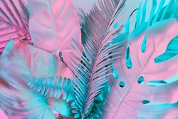 Tropical and palm leaves in vibrant bold gradient holographic colors