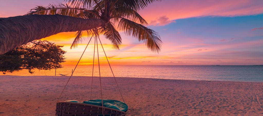 Lounge chair hanging from a palm tree at dusk, wide