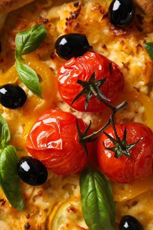 Concept of tasty food, Vegetable galette, close up