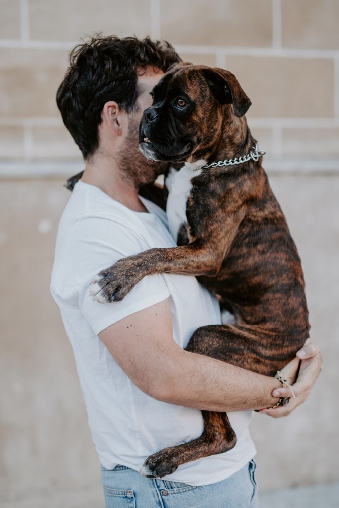 Curious cheeky dog on hands of owner