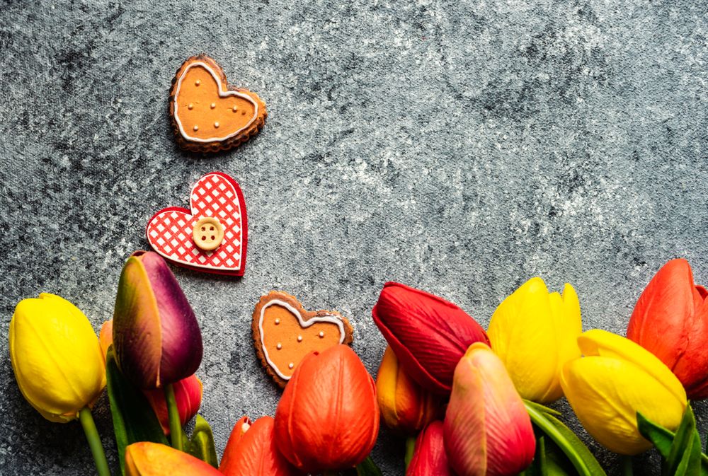Fresh tulips on grey counter with heart ornaments