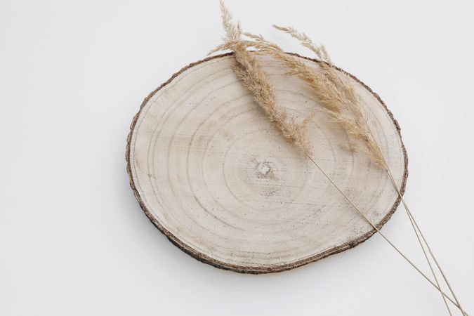Wooden cutting board, timber with dry grass on table