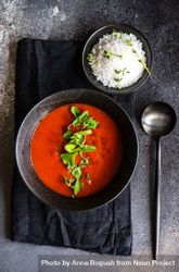 Top view of gazpacho soup served in dark bowl with salt bYqP7G
