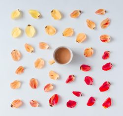 Colorful bright pattern made of tulip flower petals with coffee