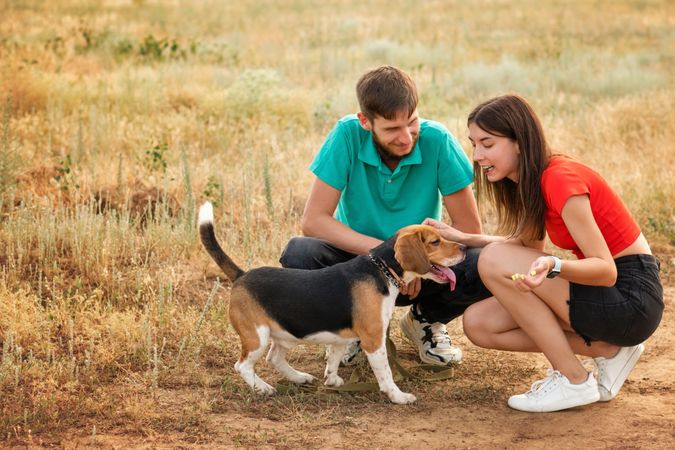 Loving owners walk dog outdoors