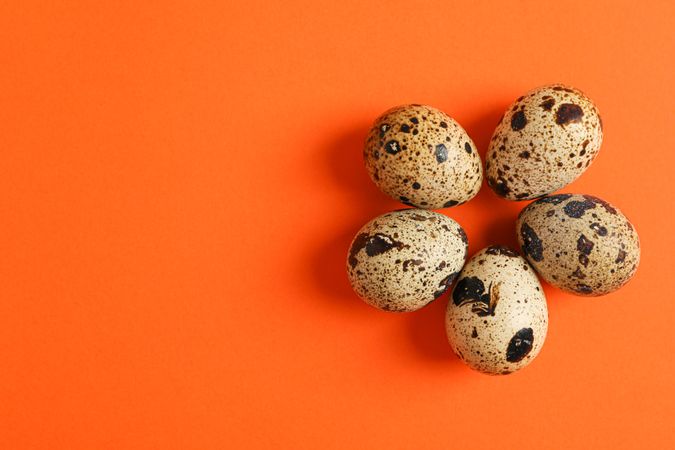 Flat lay composition with quail eggs on color background, space for text