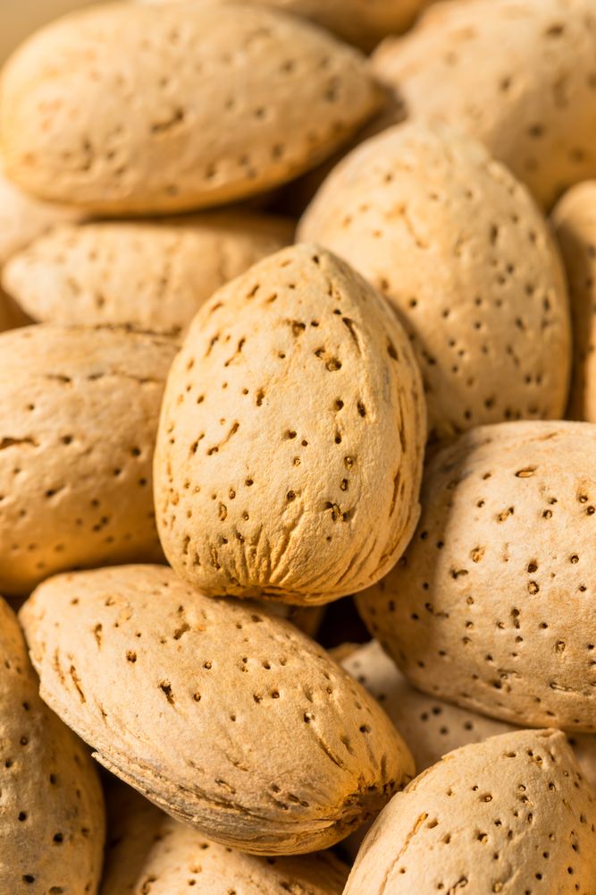 Organic Raw Almond Nuts