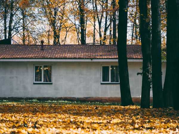 Autumn trees near small concrete house