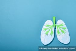Blue background with lungs, and copy space 47vZg5