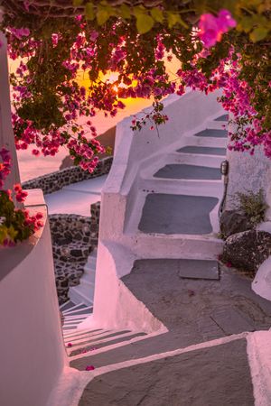 Narrow laneway with floral overhand with beautiful sunset colors