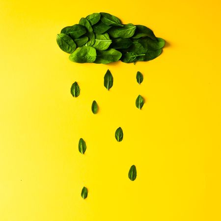 Green leaves in shape of rainy cloud on yellow background