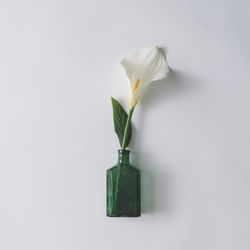 Flower in green bottle on light background