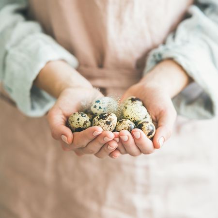 Female farmer holding handful of speckled colored quail eggs