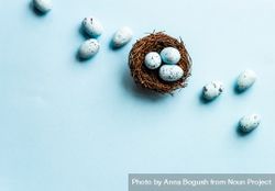 Top view of Easter holiday card with spotted eggs in nest on pastel blue background beX3oN