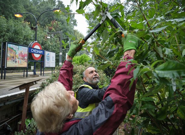 Two older people trimming hedges outside underground station