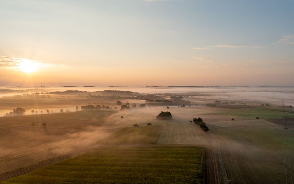 Aerial drone view of rolling landscapes at golden hour with agricultural fields enlightened by sunrise