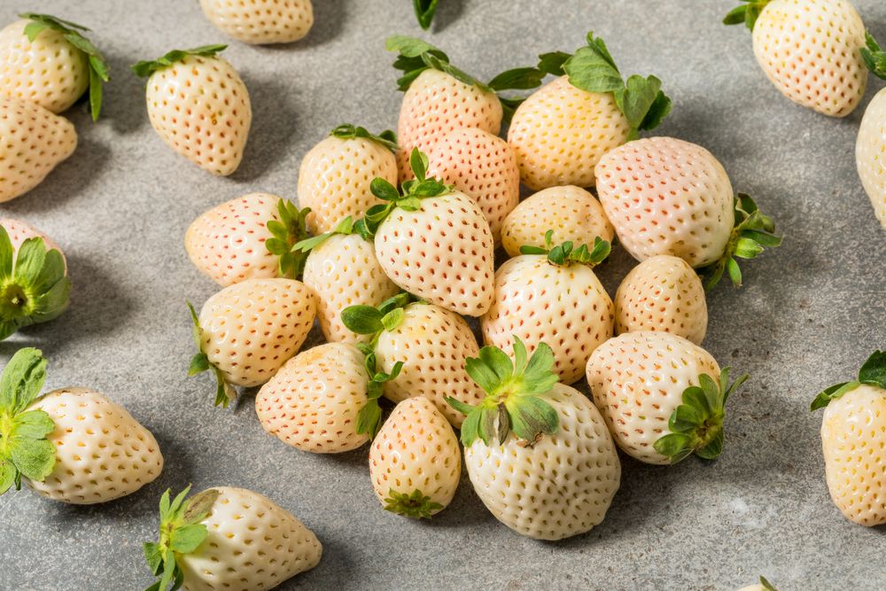 Organic Raw Pink Pineberry Strawberries