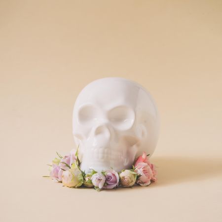 Skull with pink and purple spring flowers