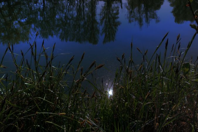 Marsh overlooking still water st night