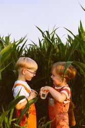 Happy kids giving high five in lush agricultural field at sunset