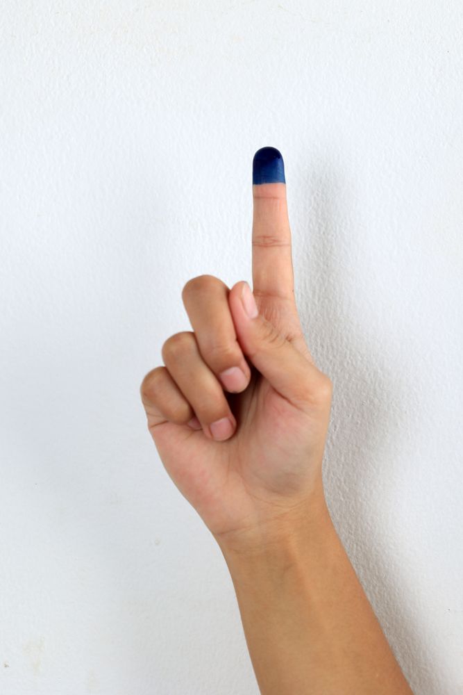 Purple Ink After Electoral Vote