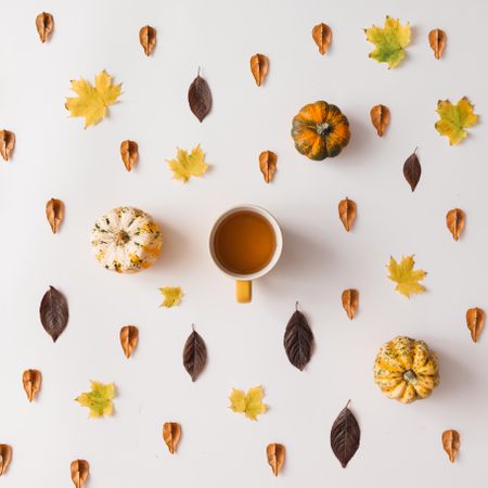 Autumn leaves pattern on light background with squash and coffee