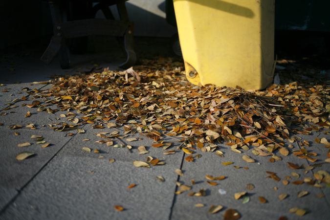 Bottom of garbage surrounded with autumn leaves