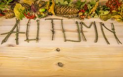 Autumn word and forest elements