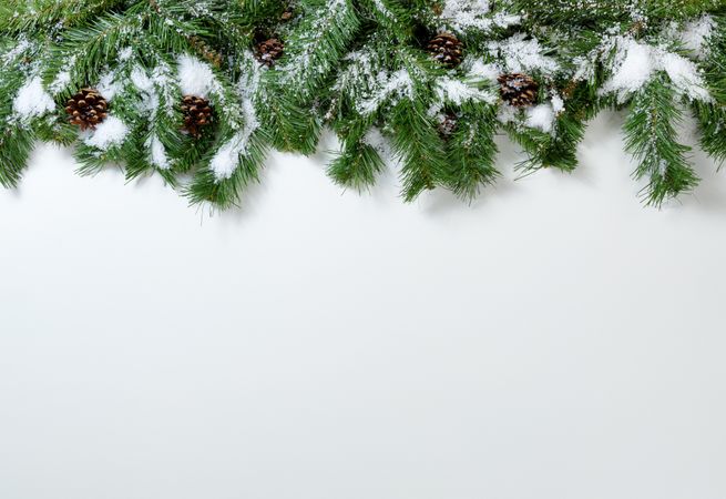 Christmas snowy tree branches and pine cones
