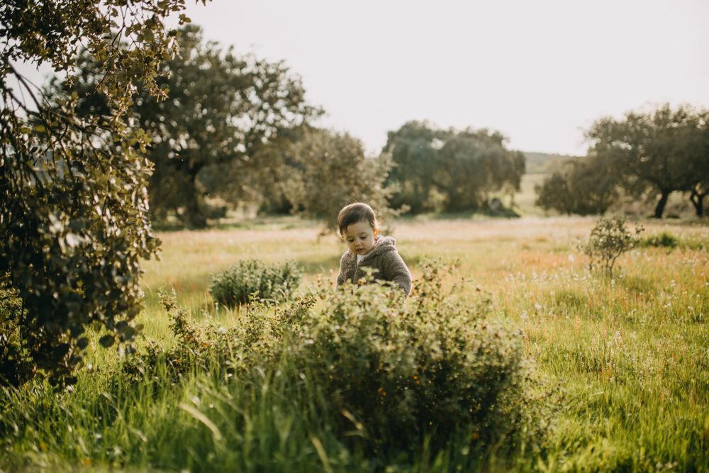 Toddler in a park