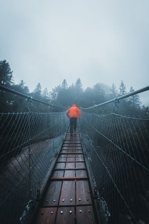 Back view of a person in red jacket walking the rope bridge in the woods