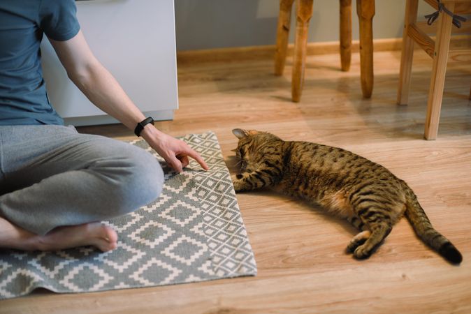 person sitting beside a tabby cat on the floor